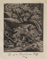 KG 01076
          <br/>
          Entwurf einiger Thiere. Vierter Theil. (16 bladen)
          <br/>
          <em>Ridinger, Johann Elias (1698-1767)</em>